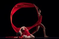 "Traviata" di Artemis Danza in streaming